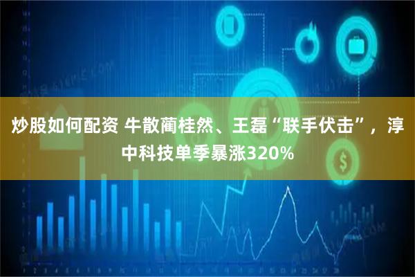 炒股如何配资 牛散蔺桂然、王磊“联手伏击”，淳中科技单季暴涨320%