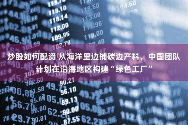 炒股如何配资 从海洋里边捕碳边产料，中国团队计划在沿海地区构建“绿色工厂”